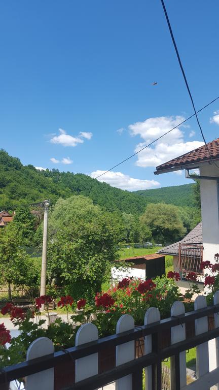 Apartment Sajra Kulen Vakuf Esterno foto